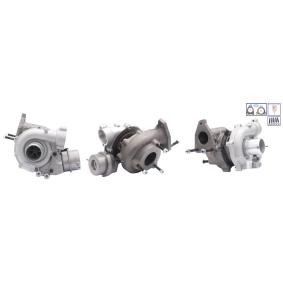 Turbolader LTRPA54389880001 von LUCAS günstig für 476,34 € online kaufen