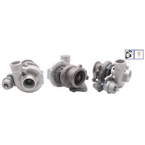 Turbolader LTRPA7006252 von LUCAS günstig für 532,69 € online kaufen