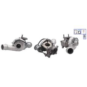 Turbolader LTRPARHF4VL25 von LUCAS günstig für 536,33 € online kaufen