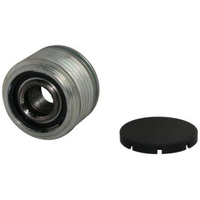Achetez des Poulie, alternateur PowerMax 81116894 à prix pour 51,30 €