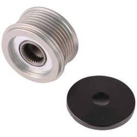 Achetez des Poulie, alternateur PowerMax 81119956 à prix pour 55,44 €
