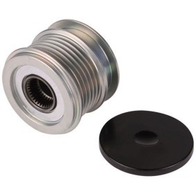 Comprar Polea, alternador de PowerMax 81120011 a bajo precio de 56,31 €