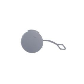 Klappe, Abschlepphaken 5513-00-3506970P