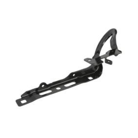 Scharnier, Motorhaube 6802-00-5509451P