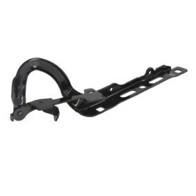 Scharnier, Motorhaube 6802-00-5509452P