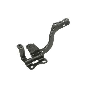 Scharnier, Motorhaube 6802-00-8119452P