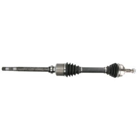 Comprar Árbol de transmisión de PASCAL G82010PC a bajo precio de 68,30 €