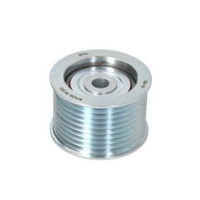 Umlenk- / Führungsrolle, Keilrippenriemen E22032BTA