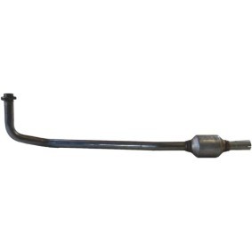 Katalysator 099-589