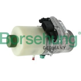 Acquista Pompa idraulica, sterzo da Borsehung B18472 a buon mercato per soli 509,82 €