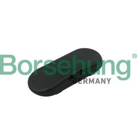 Waschwasserdüse, Scheibenreinigung von Borsehung