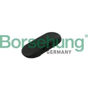 Waschwasserdüse, Scheibenreinigung von Borsehung