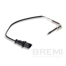 RENAULT Verteilerkappe von BREMI