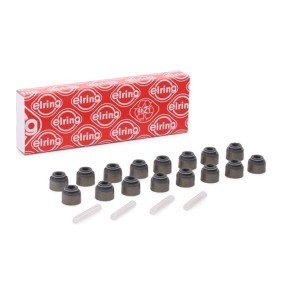 Dichtungssatz, Ventilschaft 846.820