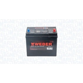 Batterie von MAGNETI MARELLI