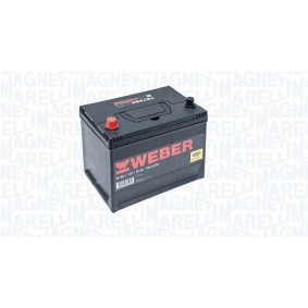 Batterie von MAGNETI MARELLI