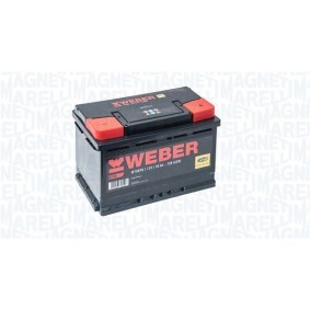 Achetez des Batterie MAGNETI MARELLI 067070680004 à prix pour 209,22 €