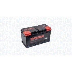 Batterie von MAGNETI MARELLI