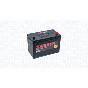 Achetez des Batterie MAGNETI MARELLI 067095760201 à prix pour 229,69 €