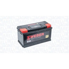 Batterie von MAGNETI MARELLI