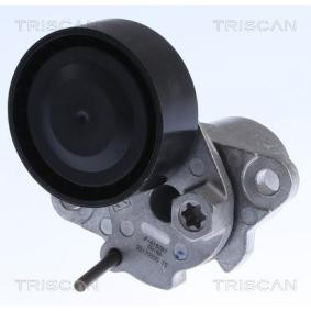 Comprar Brazo tensor, correa poli V de TRISCAN 8641 293054 a bajo precio de 64,99 €