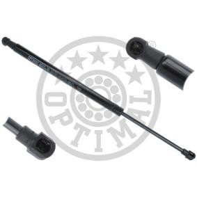 Gasfeder, Einlegeboden (Koffer- / Laderaum) AG-40338