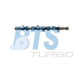 Acquista Albero a camme da BTS TURBO CP11407 a buon mercato per soli 186,74 €