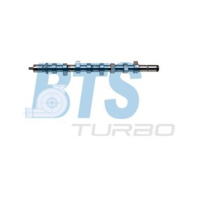 Acquista Albero a camme da BTS TURBO CP11449 a buon mercato per soli 256,03 €