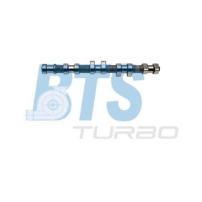 Køb Knastaksel af BTS TURBO CP12238 til den lave pris 2332,82 DKK