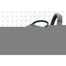 Achetez des Courroie Poly-V BGA 3PK750 à prix pour 42,60 €