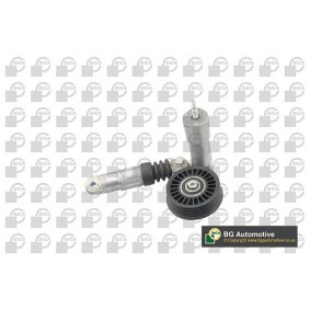 Comprar Brazo tensor, correa poli V de BGA DC0113 a bajo precio de 136,21 €