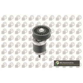Comprar Brazo tensor, correa poli V de BGA DC0115 a bajo precio de 115,35 €