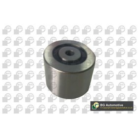 Comprar Polea inversión / guía, correa poli V de BGA DC1407 a bajo precio de 16,06 €