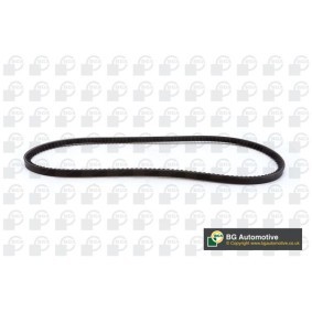 Achetez des Courroie trapézoïdale BGA V10X925 à prix pour 44,05 €