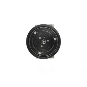 Acquista Compressore aria condizionata da ALANKO 10551807 a buon mercato per soli 174,37 €