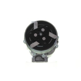 Acquista Compressore aria condizionata da ALANKO 10553298 a buon mercato per soli 326,47 €