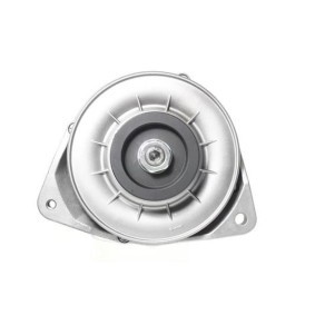Lichtmaschine 11444204