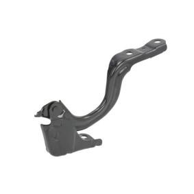 Scharnier, Motorhaube 6802-00-3172452P
