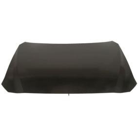 Motorhaube 6803-00-3496280P