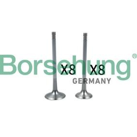 Comprar Válvula de admisión de Borsehung B18637 a bajo precio de 197,35 €