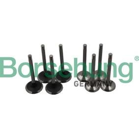 Acquista Valvola da Borsehung B18640 a buon mercato per soli 68,07 €