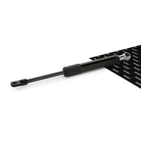 Köp Gasfjäder, bakruta av RIDEX 2454G0004 till det låga priset 101,81 kr