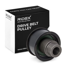 Comprar Polea de inversión y guía, correa de distribución de RIDEX 313D0094 a bajo precio de 17,42 €