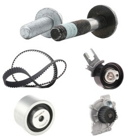 Achetez des Kit de distribution + pompe à eau RIDEX 3096W0020 à prix pour 128,48 €