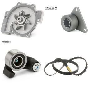 Achetez des Kit de distribution + pompe à eau RIDEX 3096W0099 à prix pour 117,41 €