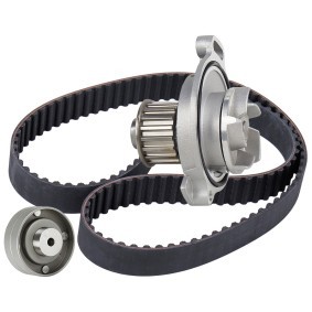 Achetez des Kit de distribution + pompe à eau RIDEX 3096W0102 à prix pour 72,65 €