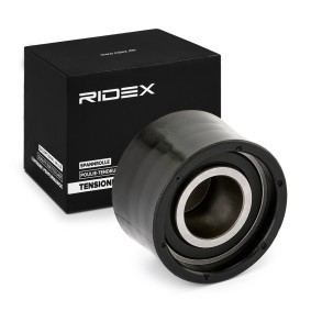 Comprar Polea de inversión y guía, correa de distribución de RIDEX 313D0068 a bajo precio de 18,55 €