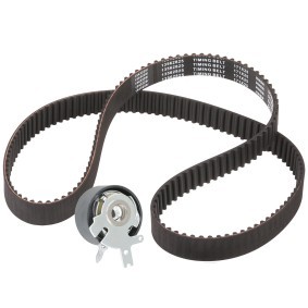 Achetez des Kit de distribution RIDEX 307T0067 à prix pour 45,63 €