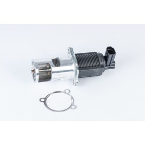 Acquista Valvola EGR da WAHLER 710723D a buon mercato per soli 143,89 €