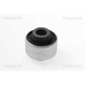 Lagerung, Lenker von TRISCAN